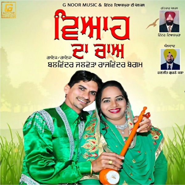 Bewafa Hunde Ne (Cover)