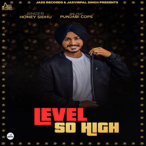 Level So High