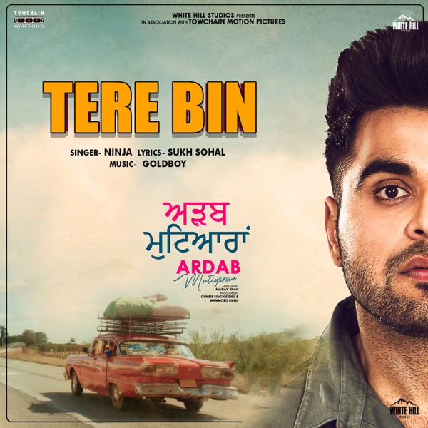 Tere Bin (Ardab Mutiyaran)