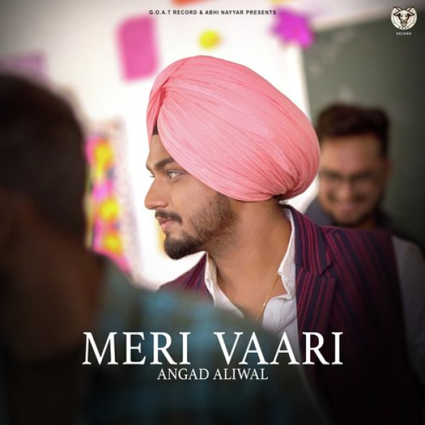 Meri Vaari
