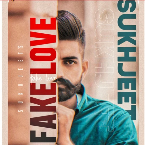 Fake Love