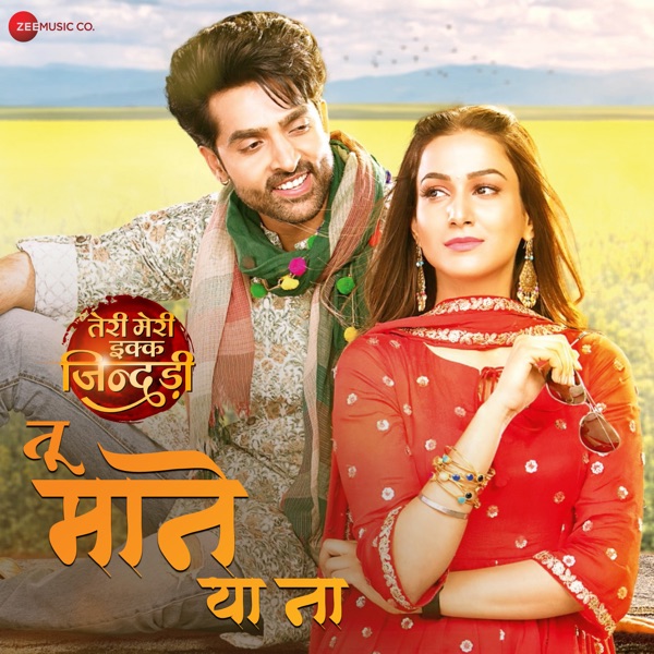 Tu Maane Yaa Naa (From Teri Meri Ikk Jindri)