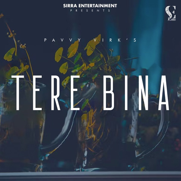 Tere Bina