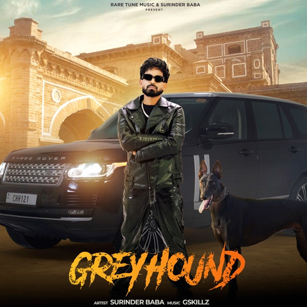 Greyhound