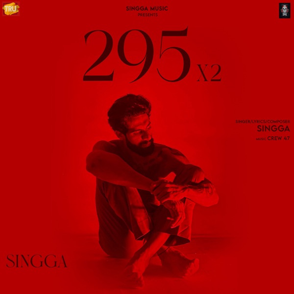 295 X2