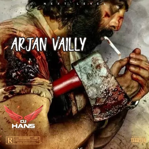 Arjan Vailly - Remix