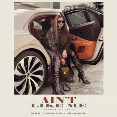Aint Like Me