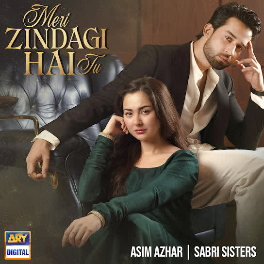 Meri Zindagi Hai Tu