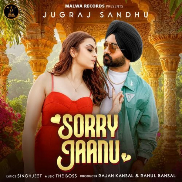 Sorry Jaanu