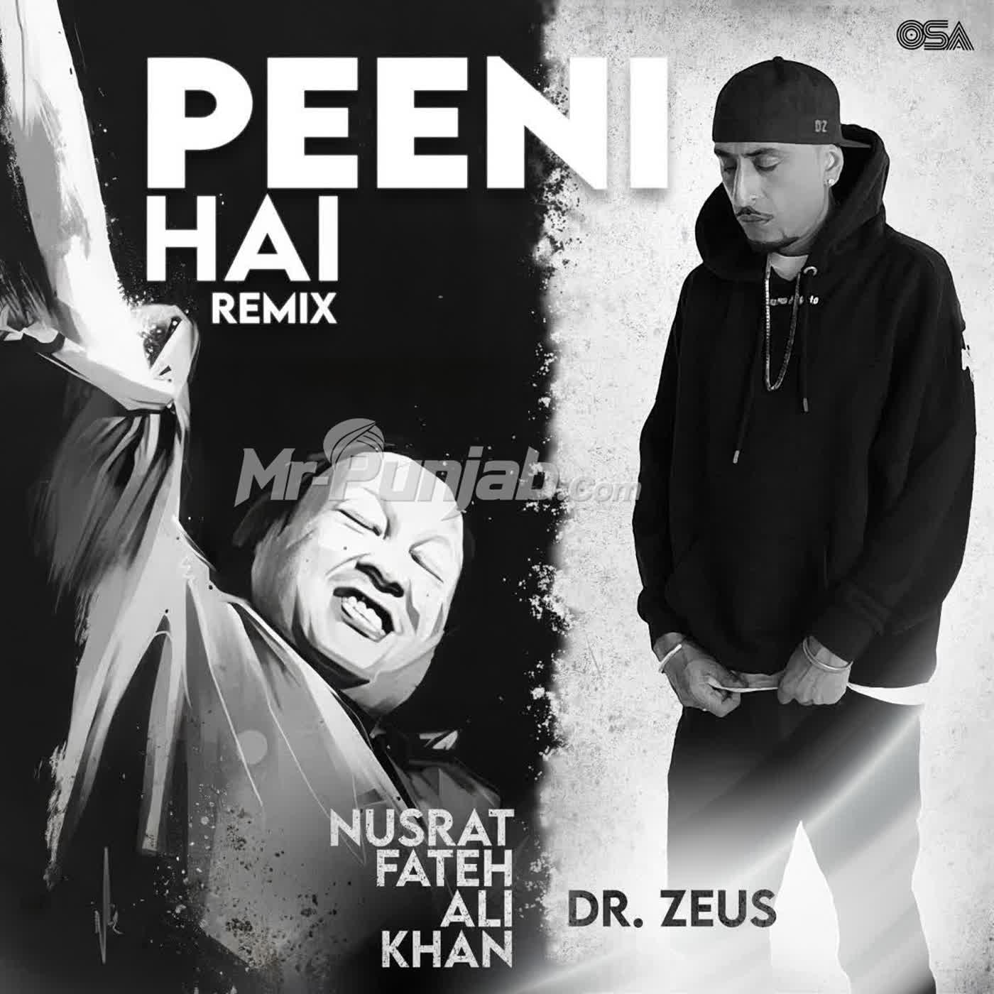 Peeni Hai Remix