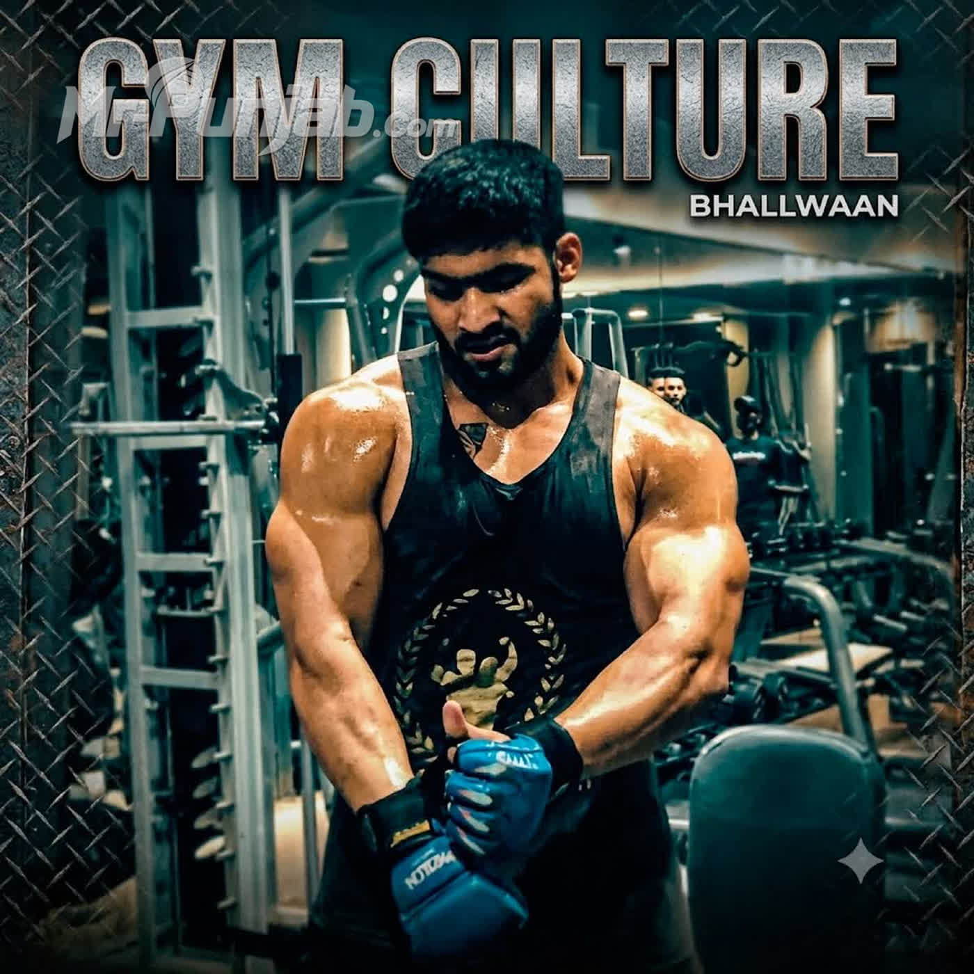 Gym Culture