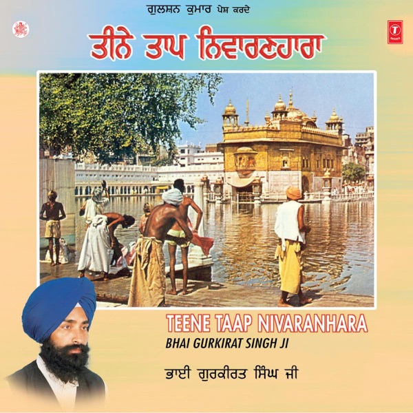 Kadi Te Aana