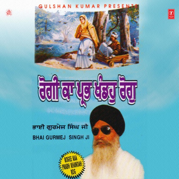 Hum Teri Mohabbat Mein