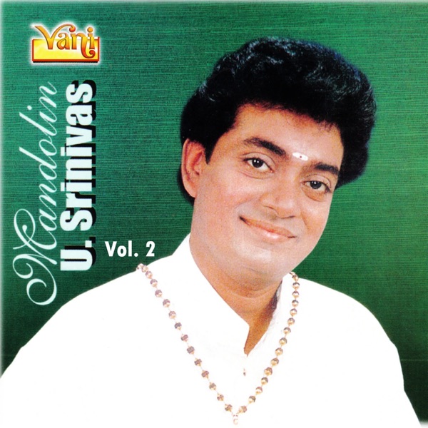 Lalgudi Violin 11