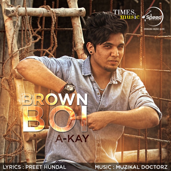 Valmiki Boy (Pop)