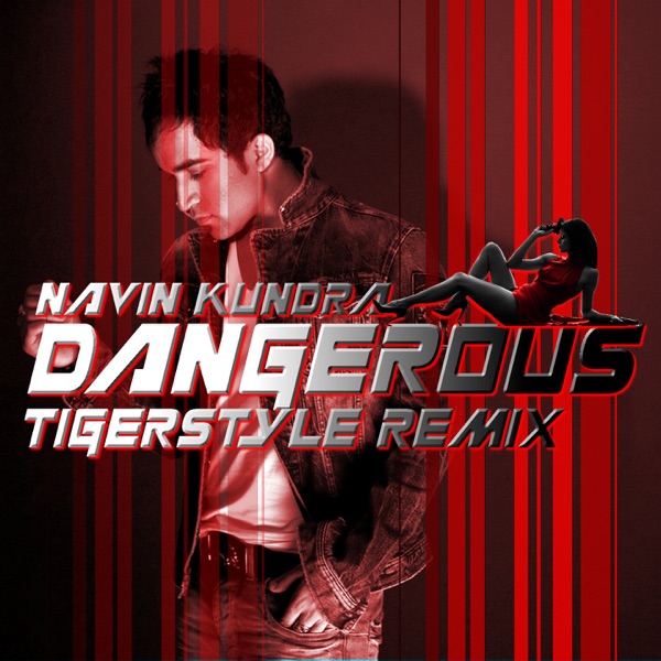 Dangerous (Tigerstyle Remix)