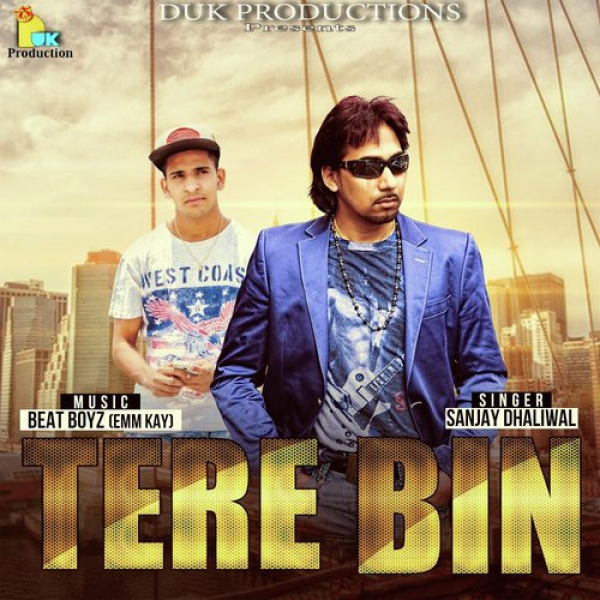 Tere Bin Ft. Emm Kay