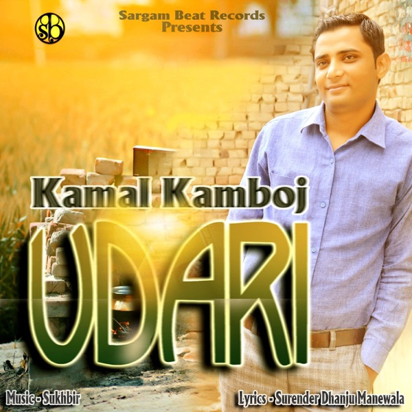 Udari
