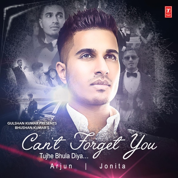 Cant Forget You (Tujhe Bhula Diya)