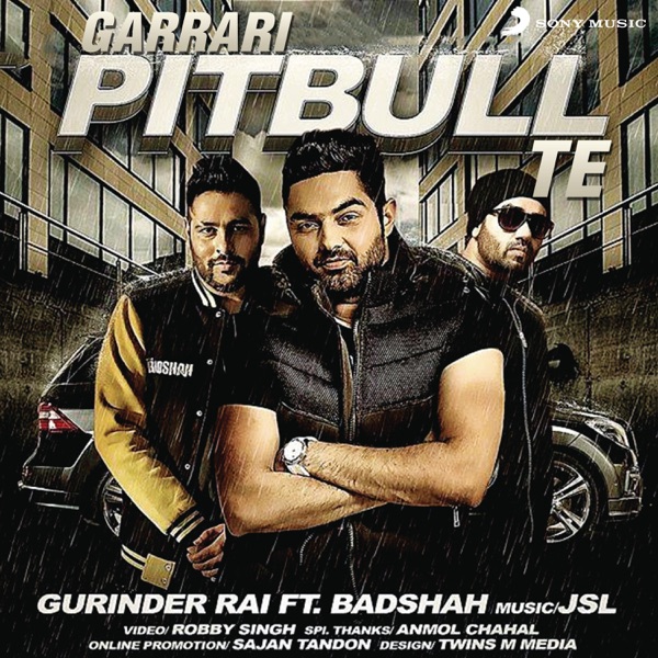 Pitbull